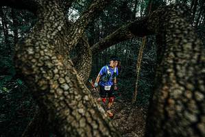 BIB: 
                            <button type="button" onclick="openModal(25681748)" class="btn btn-primary btn-sm float-right btn-popup" data-toggle="modal" data-target=".modal-high-quality">
                        <i class="fas fa-shopping-cart"></i> Add to Cart
                    </button>
                                            <button type="button" onclick="isThisMe(25681748, true)" class="btn btn-success btn-sm float-right btn-popup btn-isme hidden" data-toggle="tooltip" data-placement="bottom" title="นี่คือรูปของคุณใช่ไหม คลิกที่นี่เพื่อเอาเข้าอัลบั้ม">
                        <i class="fas fa-plus"></i> Add to album
                    </button>
                    <button type="button" onclick="isThisMe(25681748, false)" class="btn btn-warning btn-sm float-right btn-popup btn-isnotme hidden">
                        <i class="fas fa-ban"></i> Remove from album
                    </button>